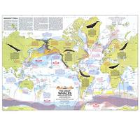 National Geographic: World Whales Migration and Range Wall Map - 30 x 21.75 inches - Laminated