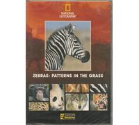 National Geographic - Zebras Patterns in the Grass