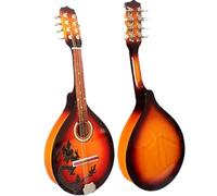 National Instruments Mandolin Treble Eight String Instrument Sound Quality Clear