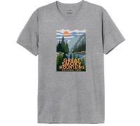 National Park Men's Menapadts006 T-Shirt, Melange Grey, L