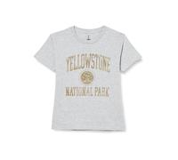 National Park Men's T-Shirt, Melange Grey, XS