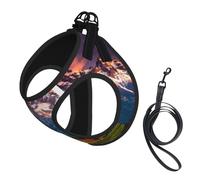 National Park print Dog Harness and Leash Set, Reflective Adjustable Puppy Vest for Small Medium Large Dogs, Cats