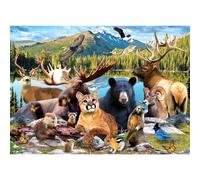 National Parks - Rocky Mountain