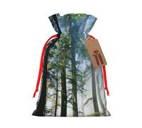 National Parks Sunshine Trees Gift Bag with Handles and tag, Perfect for Christmas, Birthday, Wedding or Daily Gift - (S)