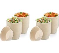 Nationwide Paper 16oz 50pcs White Bagasse Sugarcane Disposable Bowls, Strong Biodegradable Bowls for Hot Food, Soup, Salad (475ml) (Pack of 2)