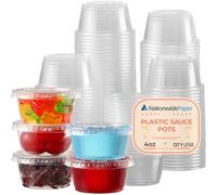 Nationwide Paper 4oz 250pcs Clear Plastic Sauce Pots with Airtight lids, Leakproof, Small Plastic Jelly Pots, Deli Pots for Dip, Ketchup, Chutney, and Sauces (118ml)