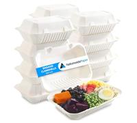 Nationwide Paper 9x6 Inch 1 Compartment Bagasse Clamshell Takeaway Box, Biodegradable Sugarcane Hinged Food Container, 50 Pcs