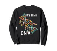 Native American DNA Dreamcatcher Tribal Helix Indian Art Sweatshirt