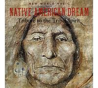 Native American Dream: Tribute to the Tribal Spirit By Medwyn Goodall (2003-05-06)