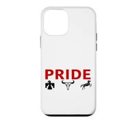 Native American Indian Pride First Nations Culture Heritage Case for iPhone 12 mini