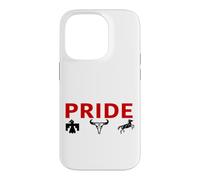 Native American Indian Pride First Nations Culture Heritage Case for iPhone 14 Pro