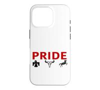 Native American Indian Pride First Nations Culture Heritage Case for iPhone 16 Pro