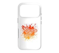 Native American Indian Raven Stealing The Sun Case for iPhone 17 Pro