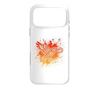 Native American Indian Raven Stealing The Sun Case for iPhone 17 Pro Max