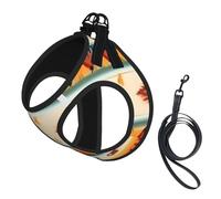 Native American Print printing Puppy Harness, Dog Harness and Leash Set, Soft Mesh Reflective Breathable Lightweight Vest-Style