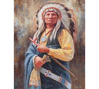 Native American Red Indian Chief Metal Plaque Tin Sign Wall Decor 12x8 Inches