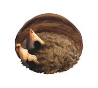 Native American Tribes Printed Double-Layer Shower Cap, Reusable Shower Cap, Suitable For Various Hair Lengths