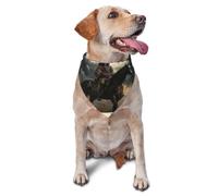Native American Warriors On Horseback Printed Graphic Pet Triangle Scarf For Dogs & Cats, Adjustable Cute Pet Bandana For & Photo Shoots