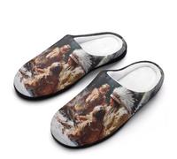 Native Americans in Winter Cotton Men's Slip-on Slippers 11-12（44-45）