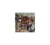NATIVE HARROW: OLD KIND OF MAGIC - LP vinyl BRAND NEW