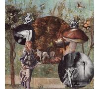 Native Harrow - Old Kind Of Magic [VINYL]