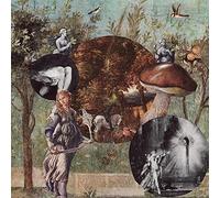 Native Harrow - Old Kind Of Magic [VINYL]