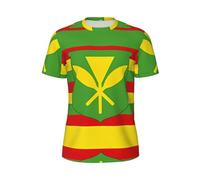 Native Hawaiian Flag Print Men's Short Sleeve Mesh T-Shirts - Crew Neck Athletic Breathful Workout Tees, for Gym Outdoor, Black, Large