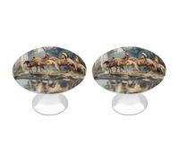 Native Indian Return Home from War Funny Cabinet Knobs 2 Pack Round Drawer Dresser Pulls Door Handles Knobs for Door Wardrobe