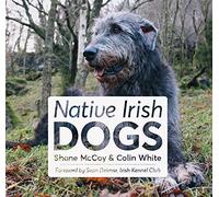 Native Irish Dogs
