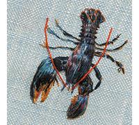 Native Lobster 150mm Square Greetings Card by Artist Sarah J Perry