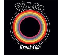 Native New Yorker / Use It Up and Wear It Out (Mike Maurro Mixes) [VINYL]