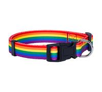 Native Pup natif Pup Drapeau Arc-en-Ciel Collier de Chien, Small, Rainbow