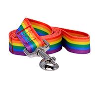 Native Pup Rainbow Flag Gay Pride LBGTQ Dog Leash 5 Ft (Rainbow)