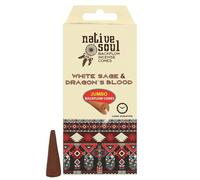 Native Soul White Sage & Dragon's Blood Backflow Incense Cones