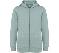 Native Spirit Childrens/Kids Full Zip Hoodie PC7817