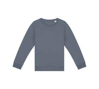 Native Spirit Childrens/Kids Sweatshirt PC5120