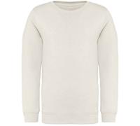Native Spirit Childrens/Kids Sweatshirt PC5120
