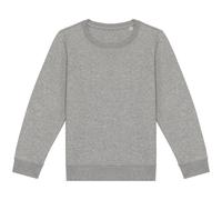 Native Spirit Childrens/Kids Sweatshirt PC5120