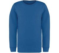 Native Spirit Childrens/Kids Sweatshirt PC5120
