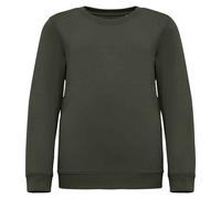 Native Spirit Childrens/Kids Sweatshirt PC5120