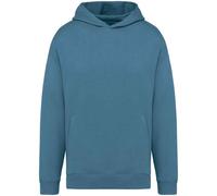 Native Spirit Men's Oversized Hoodie in Duck Egg Blue | Size: Large Native Spirit Duck Egg Blue L