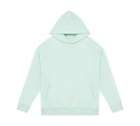Native Spirit Men's Oversized Hoodie in Light Green | Size: Small Native Spirit Light Green S