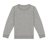 Native Spirit Sweatshirt in Light Grey | Size: 6-8 Years Native Spirit Light Grey 6-8 Years