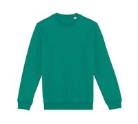 Native Spirit Unisex Adult Crew Neck Sweatshirt PC5129