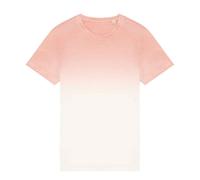 Native Spirit Unisex Adult Dip Dye T-Shirt PC5161