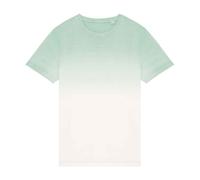 Native Spirit Unisex Adult Dip Dye T-Shirt PC5161
