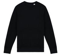 Native Spirit Unisex Adult French Terry Sweatshirt PC6663
