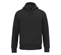 Native Spirit Unisex Adult Hoodie PC7880