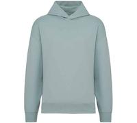 Native Spirit Unisex Adult Oversized Hoodie PC5128