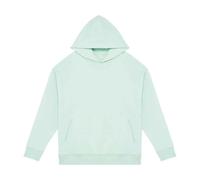 Native Spirit Unisex Adult Oversized Hoodie PC5128